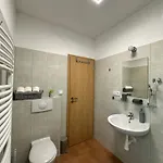 U Tri Smrku Apartment Bozi Dar