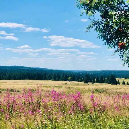 Appartement U Tri Smrku Boží Dar