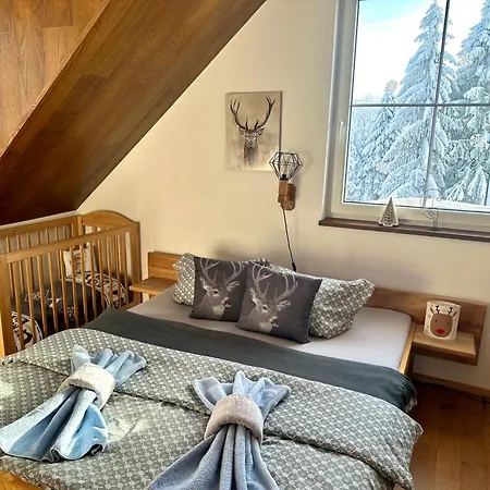 U Tri Smrku Appartement Boží Dar